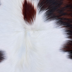 Cowhide Rug AUG26-054 (200cm x 170cm)