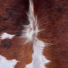 Cowhide Rug AUG26-056 (190cm x 160cm)