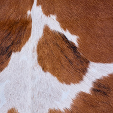 Cowhide Rug AUG26-056 (190cm x 160cm)