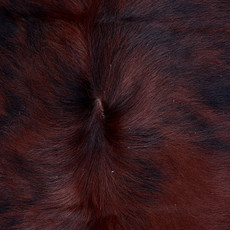 Cowhide Rug AUG26-061 (190cm x 160cm)