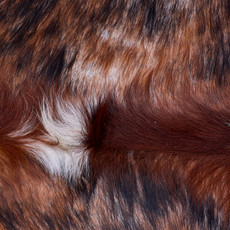 Cowhide Rug AUG26-062 (210cm x 200cm)