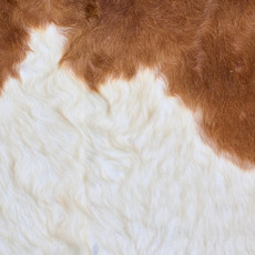 Cowhide Rug AUG26-063 (190cm x 180cm)