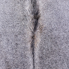 Cowhide Rug AUG26-072 (230cm x 170cm)