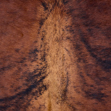 Cowhide Rug AUG26-076 (230cm x 210cm)