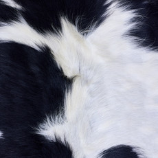Cowhide Rug AUG26-077 (200cm x 190cm)