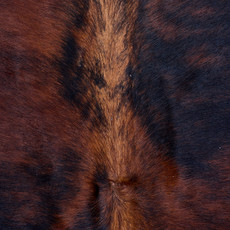 Cowhide Rug AUG26-079 (210cm x 180cm)