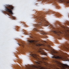 Cowhide Rug AUG26-084 (170cm x 180cm)