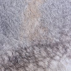 Cowhide Rug AUG26-107 (220cm x 220cm)