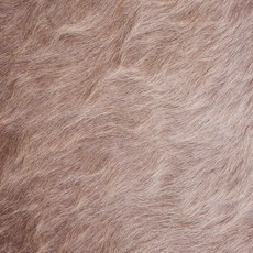 Cowhide Rug AUG26-109 (210cm x 190cm)