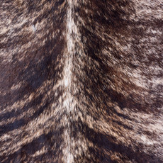Cowhide Rug AUG26-113 (230cm x 210cm)