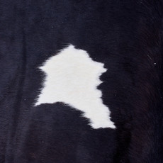 Cowhide Rug AUG26-121 (220cm x 190cm)