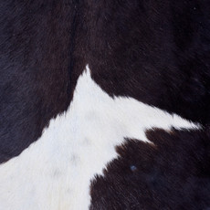 Cowhide Rug AUG26-121 (220cm x 190cm)