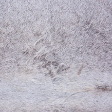 Cowhide Rug AUG26-122 (200cm x 190cm)