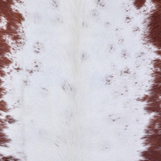 Cowhide Rug AUG26-123 (225cm x 220cm)