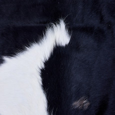 Cowhide Rug AUG26-128 (230cm x 180cm)