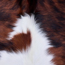 Cowhide Rug AUG26-139 (200cm x 180cm)