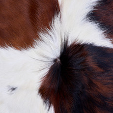 Cowhide Rug AUG26-140 (200cm x 170cm)