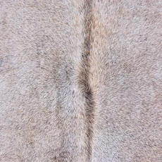 Cowhide Rug AUG26-141 (190cm x 180cm)