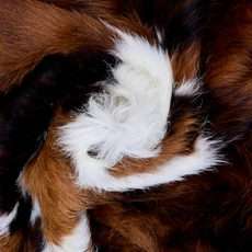 Cowhide Rug AUG26-142 (170cm x 170cm)
