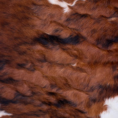 Cowhide Rug AUG26-143 (210cm x 200cm)