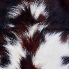 Cowhide Rug AUG26-147 (200cm x 190cm)