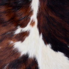 Cowhide Rug AUG26-147 (200cm x 190cm)