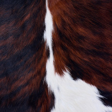 Cowhide Rug AUG26-148 (200cm x 190cm)