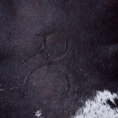 Cowhide Rug AUG26-157 (210cm x 200cm)