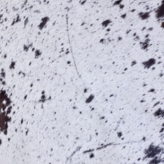 Cowhide Rug AUG26-157 (210cm x 200cm)