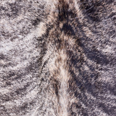 Cowhide Rug AUG26-170 (225cm x 210cm)