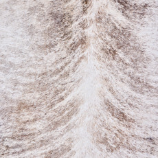 Cowhide Rug AUG26-170 (225cm x 210cm)