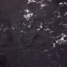 Burnt Black And White Speckled Cowhide Rug NOV26-015 (200cm x 210cm)