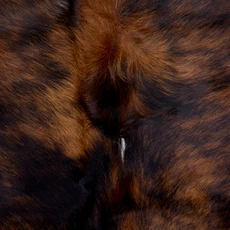 Tri Black, Brown And White Cowhide Rug NOV26-016 (200cm x 180cm)