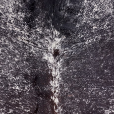 Speckled Black And White Cowhide Rug NOV26-021 (240cm x 220cm)
