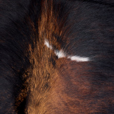 Tri Black, Brown And White Cowhide Rug NOV26-035 (200cm x 210cm)