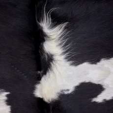 Burnt Black And White Speckled Cowhide Rug NOV26-038 (190cm x 150cm)
