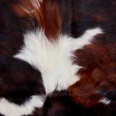 Brown And White Cowhide Rug NOV26-039 (180cm x 170cm)