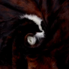 Brown And White Cowhide Rug NOV26-039 (180cm x 170cm)