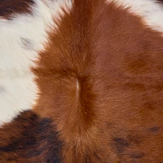 Brown And White Cowhide Rug NOV26-040 (190cm x 170cm)