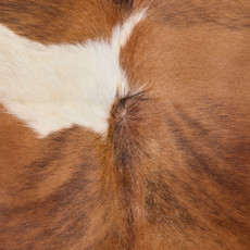 Brown And White  Cowhide Rug NOV26-049 (200cm x 190cm)