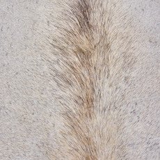 French Grey With Hints Of Brown Cowhide Rug NOV26-052 (200cm x 190cm)