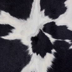 Black And White Cowhide Rug NOV26-067 (229cm x 200cm)