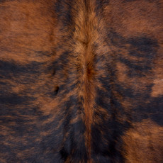 Brindle Dark Brown Cowhide Rug NOV26-082 (210cm x 180cm)