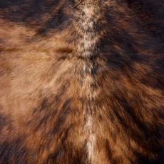 Brown And White Cowhide Rug NOV26-088 (210cm x 180cm)