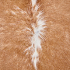 Tan Brown And White Cowhide Rug NOV26-107 (260cm x 240cm)