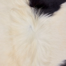 Black And White With An Hint Of Mahogany Cowhide Rug NOV26-116 (190cm x 180cm)