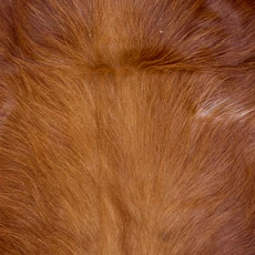 Brown And White Cowhide Rug NOV26-117 (200cm x 175cm)