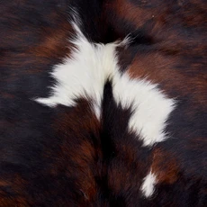 Deep Brown And White Cowhide Rug NOV26-133 (160cm x 170cm)