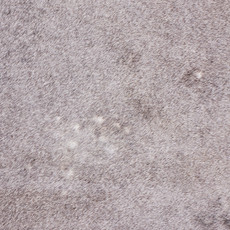 Light  Brown Cowhide Rug NOV26-139 (200cm x 190cm)