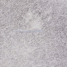 French Grey With A Hint Of Fawn Cowhide Rug NOV26-140 (200cm x 180cm)